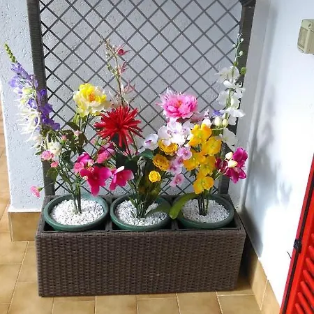 아파트 Pineta Dell'alben 세리나